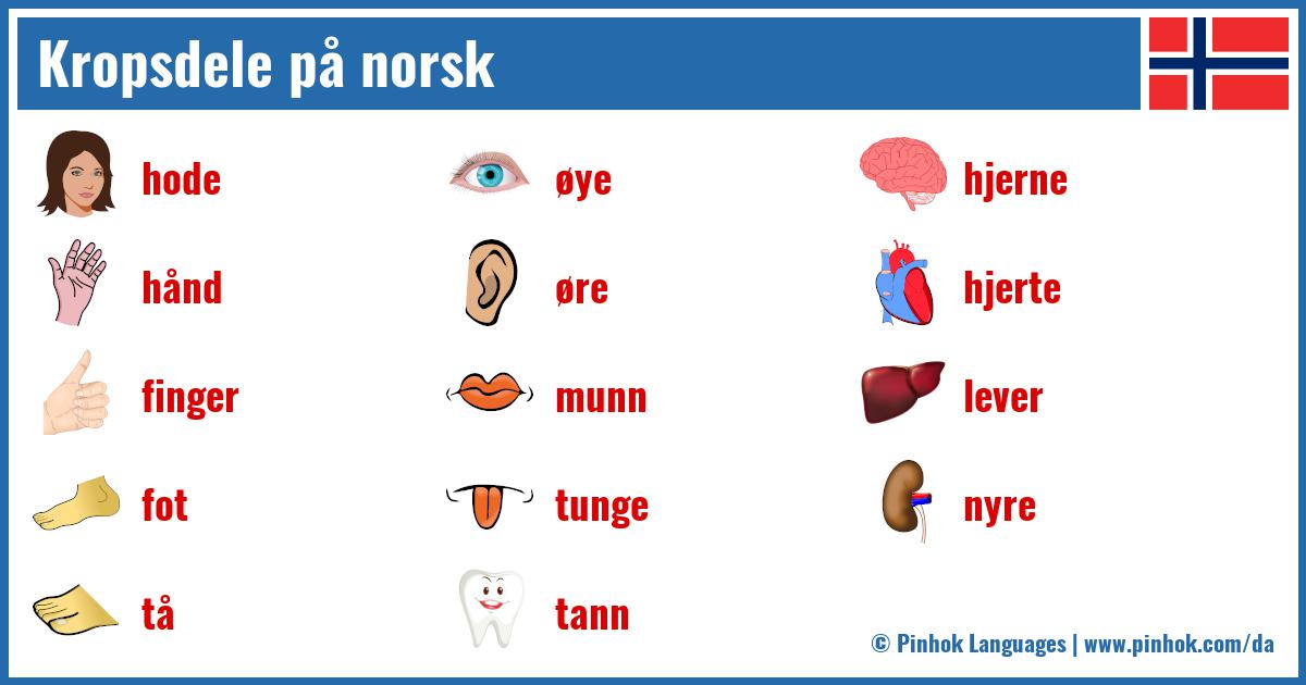 Kropsdele på norsk