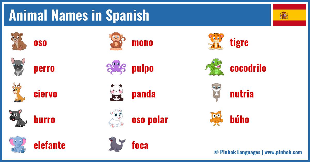 Animal Names in Spanish