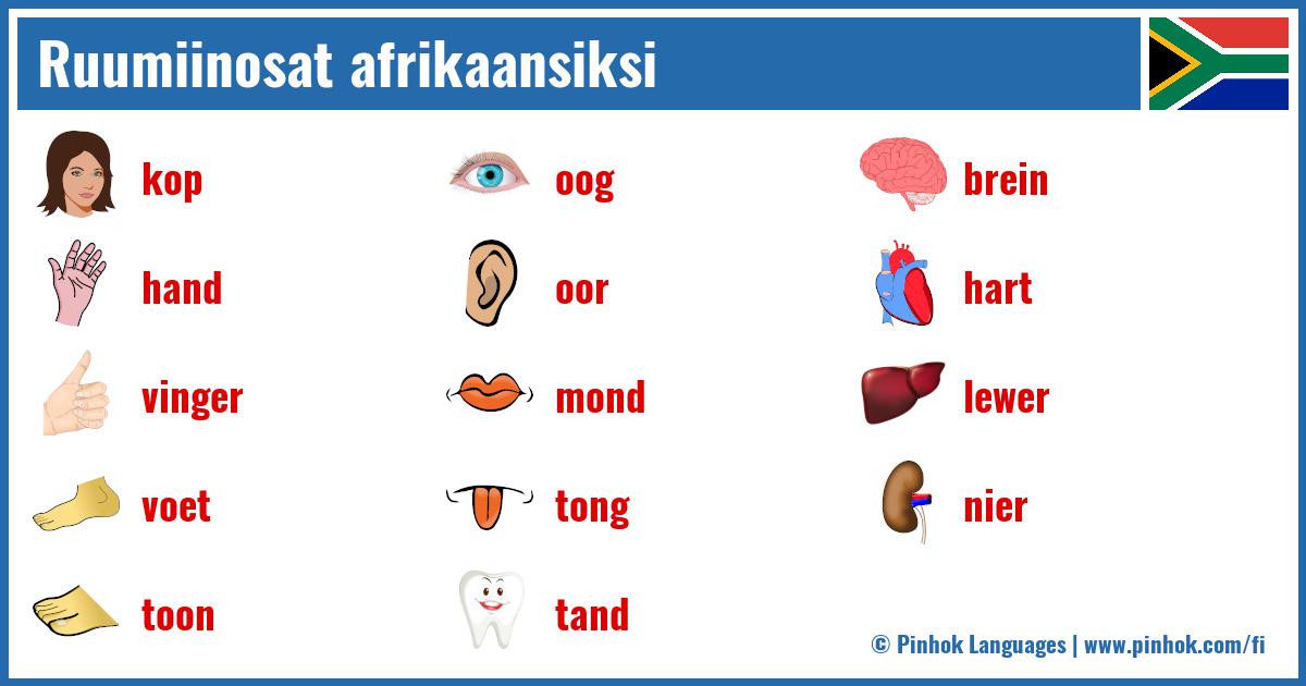 Ruumiinosat afrikaansiksi