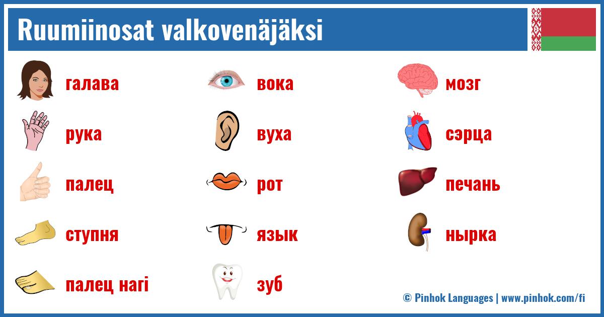 Ruumiinosat valkovenäjäksi