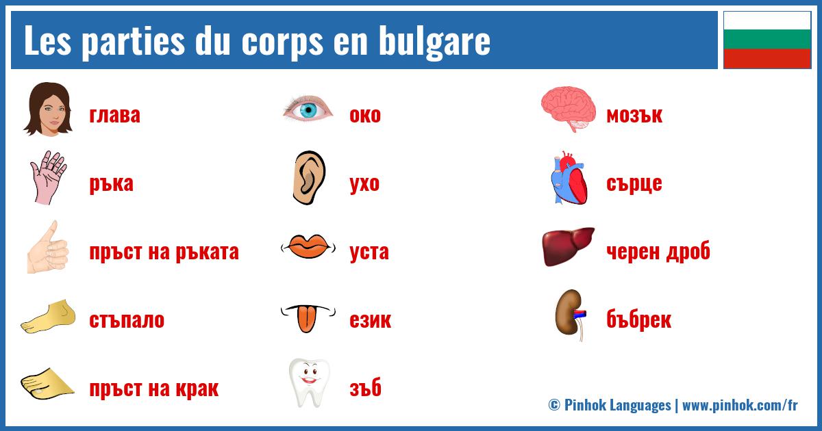 Les parties du corps en bulgare