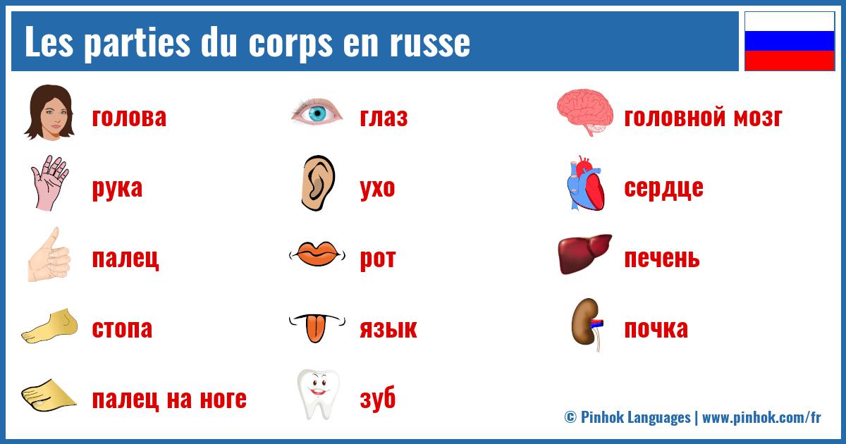 Les parties du corps en russe