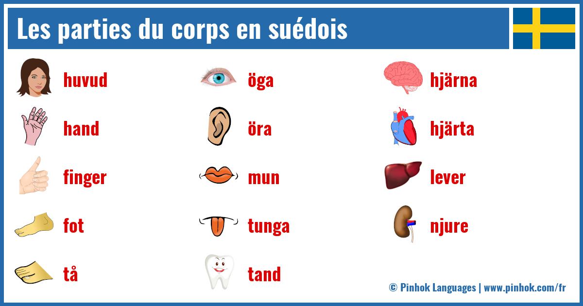 Les parties du corps en suédois