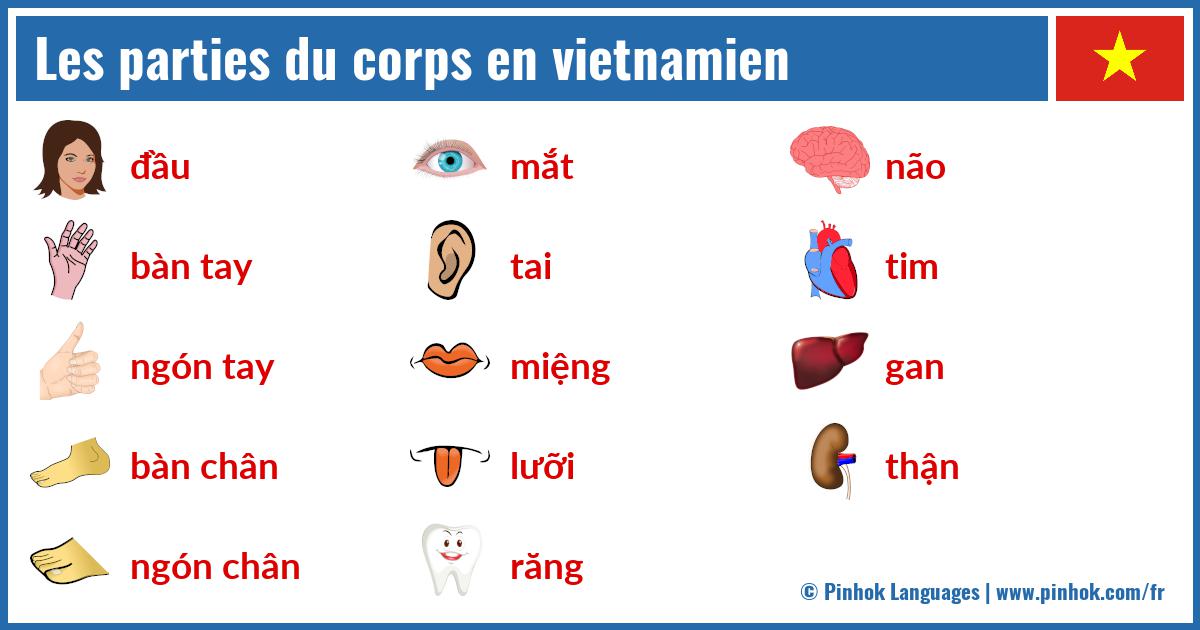 Les parties du corps en vietnamien