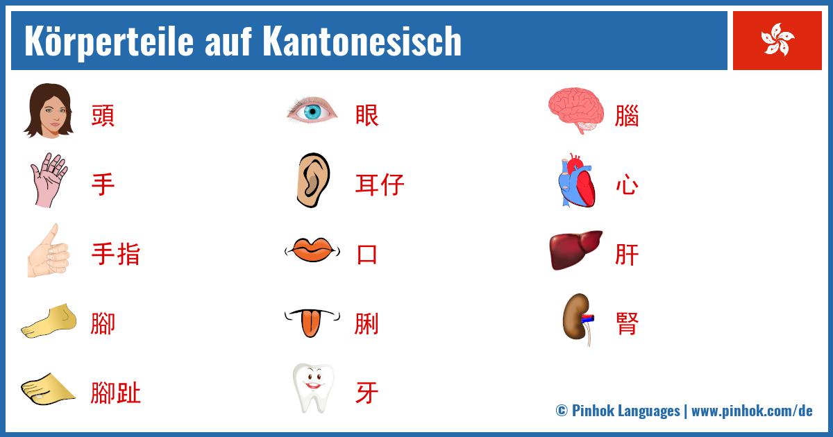 Körperteile auf Kantonesisch