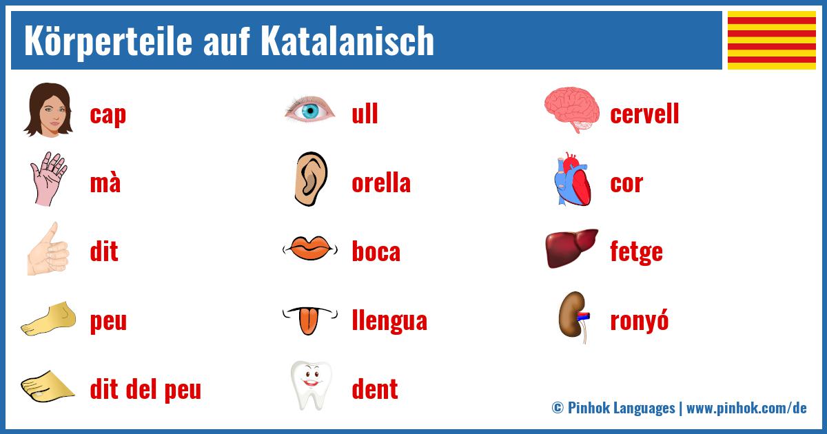 Körperteile auf Katalanisch