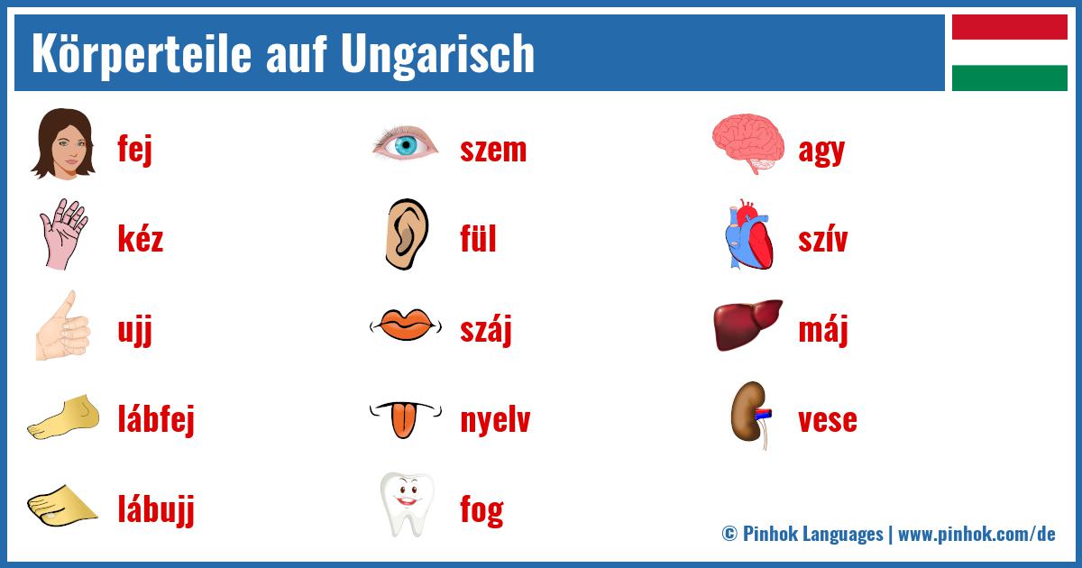 Körperteile auf Ungarisch