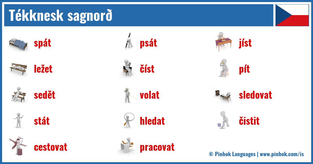 Tékknesk sagnorð