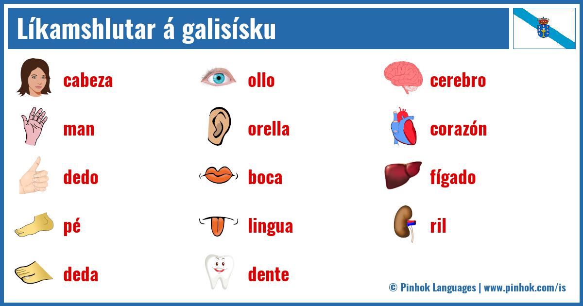 Líkamshlutar á galisísku