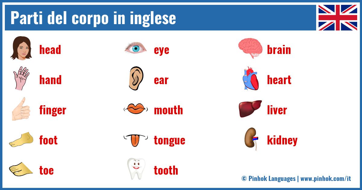 Parti del corpo in inglese