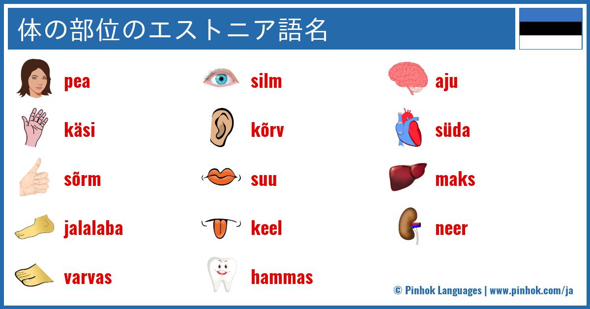 体の部位のエストニア語名