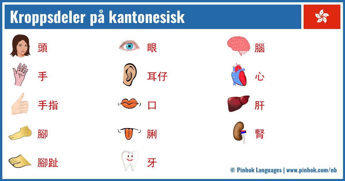 Kroppsdeler på kantonesisk