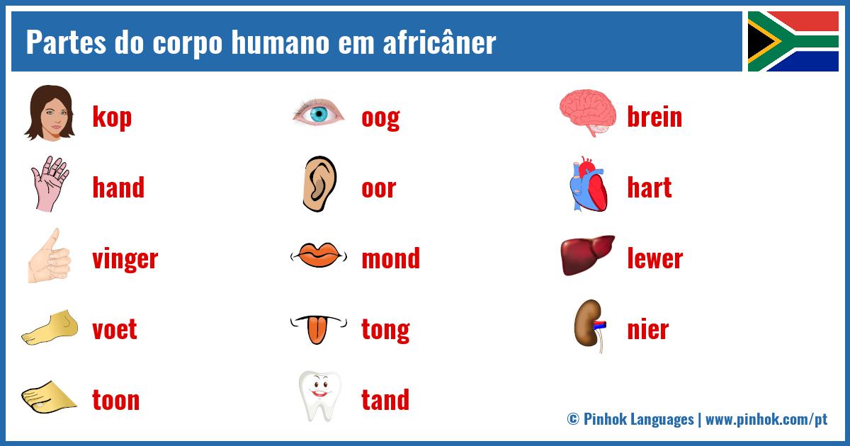 Partes do corpo humano em africâner