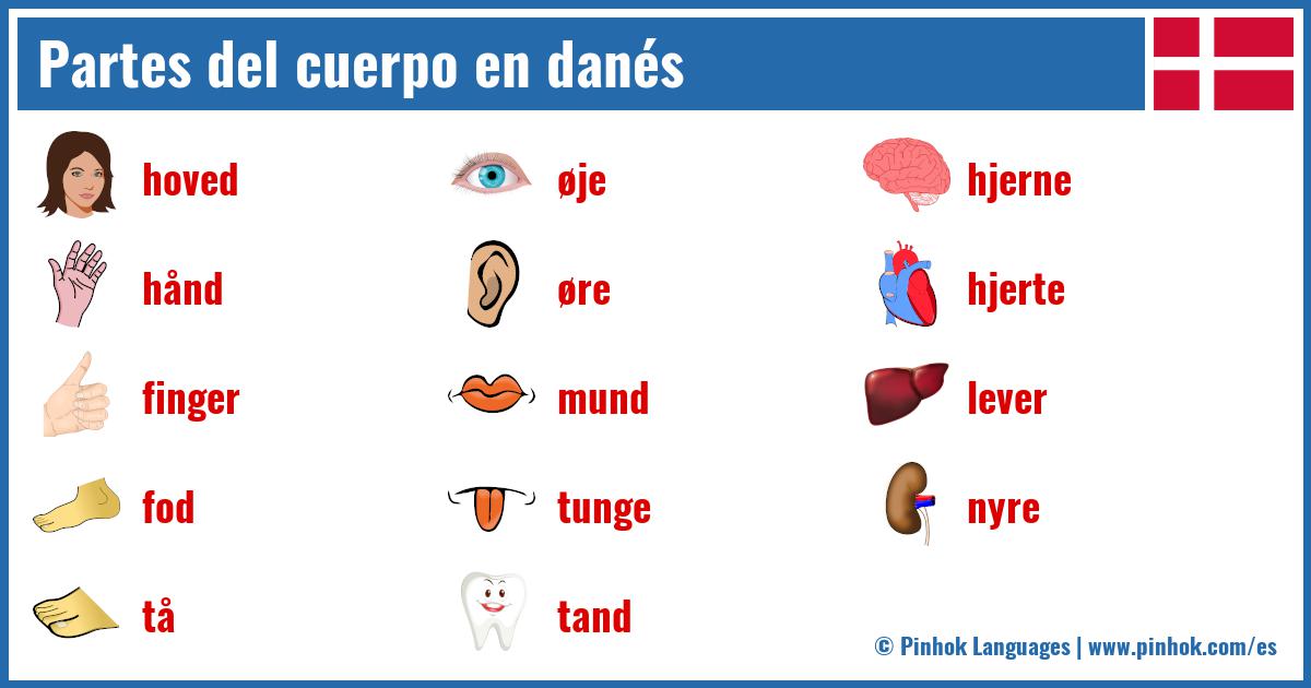 Partes del cuerpo en danés