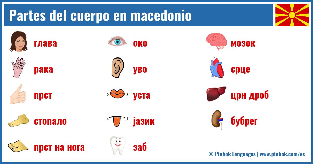 Partes del cuerpo en macedonio