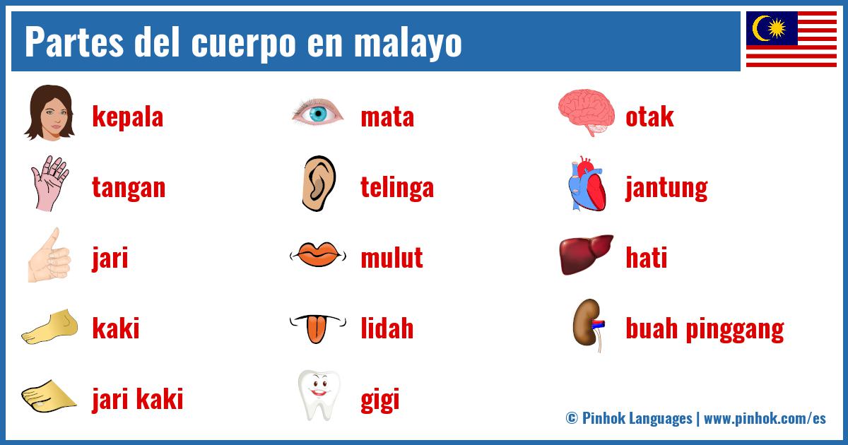 Partes del cuerpo en malayo