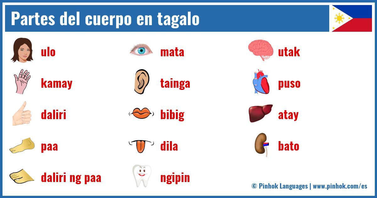 Partes del cuerpo en tagalo