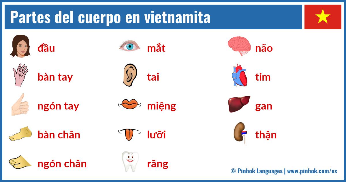 Partes del cuerpo en vietnamita