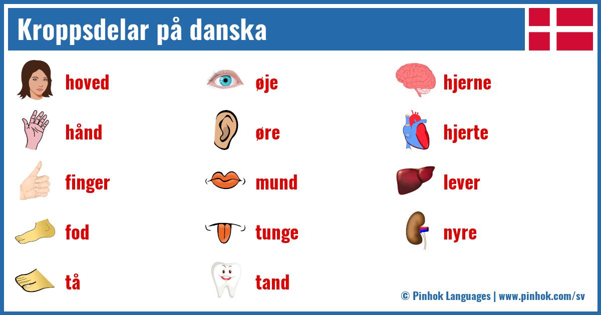 Kroppsdelar på danska