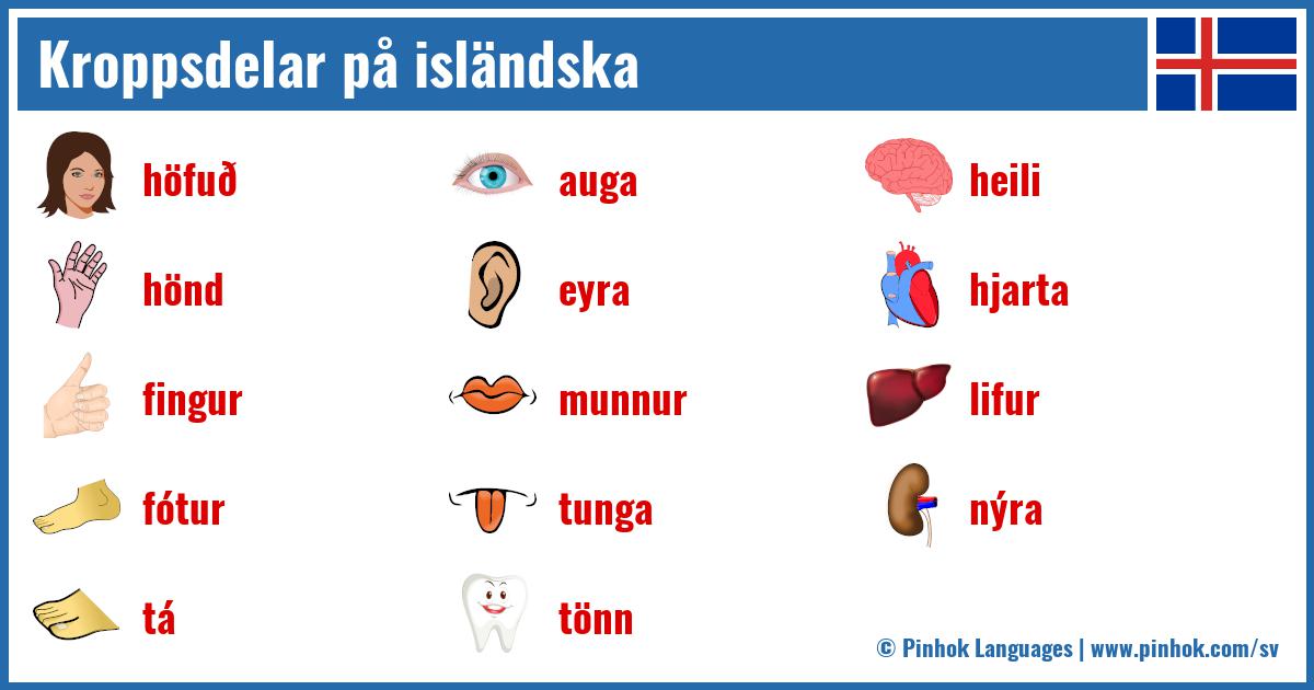 Kroppsdelar på isländska