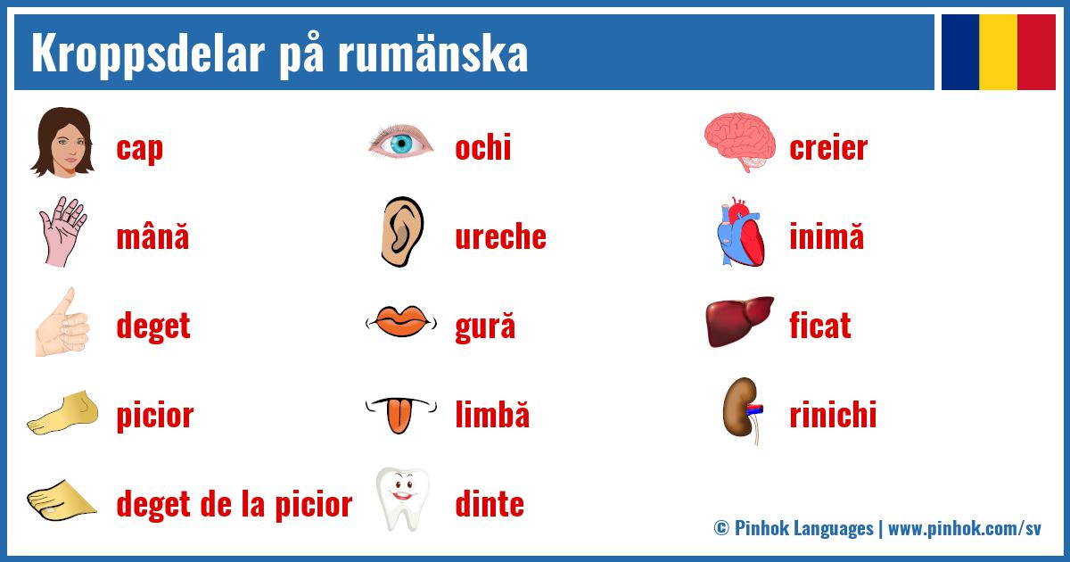 Kroppsdelar på rumänska