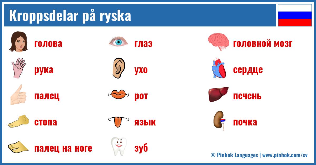 Kroppsdelar på ryska